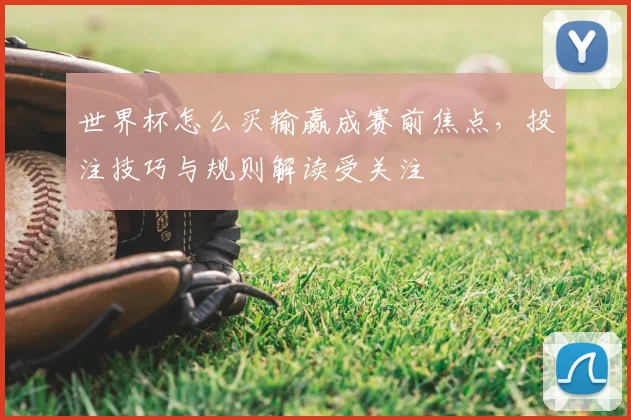 世界杯怎么买输赢成赛前焦点，投注技巧与规则解读受关注