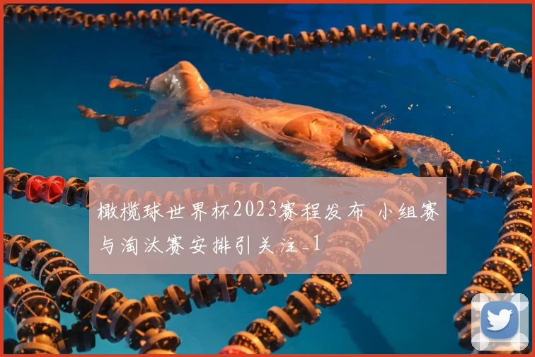 橄榄球世界杯2023赛程发布 小组赛与淘汰赛安排引关注_1
